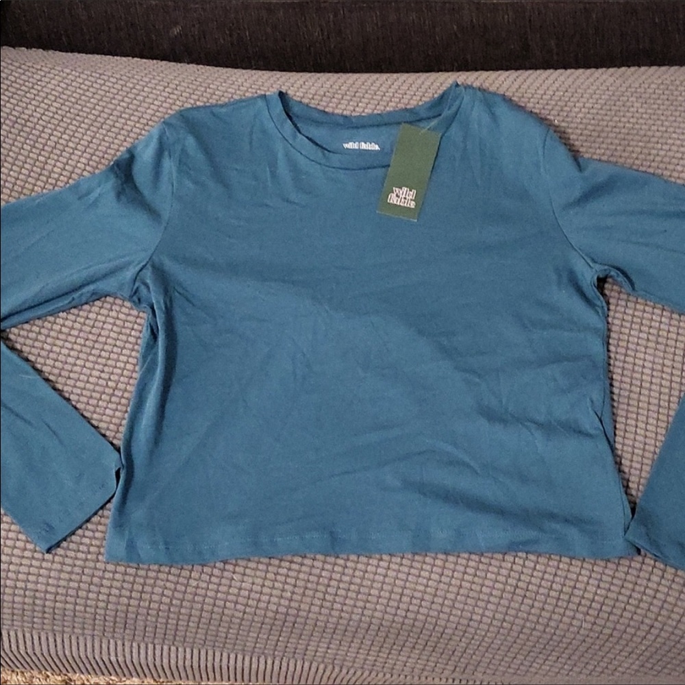 Wild Fable long sleeved blue top